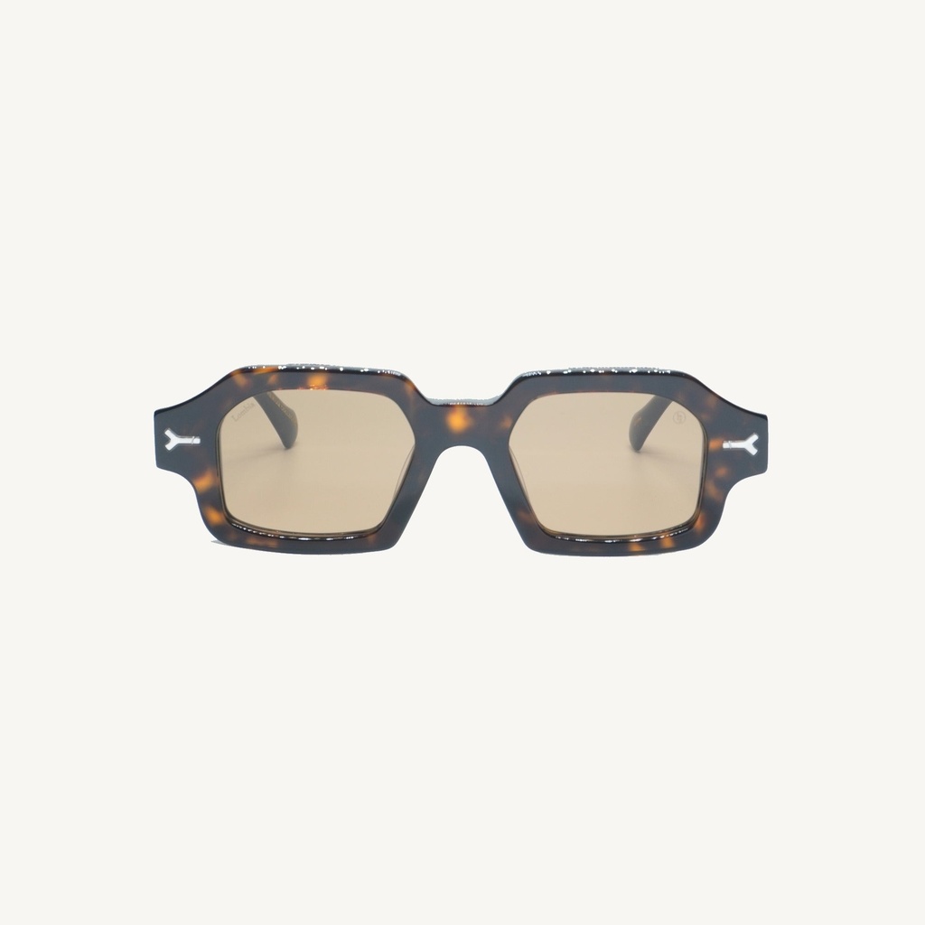 ERINSC02_TORTOISE_SUN - Supplier Image 1