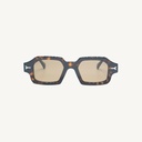 ERINSC02_TORTOISE_SUN - Supplier Image 1
