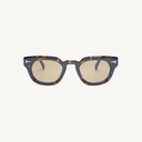 LONDIC02_TORTOISE_SUN - Supplier Image 1