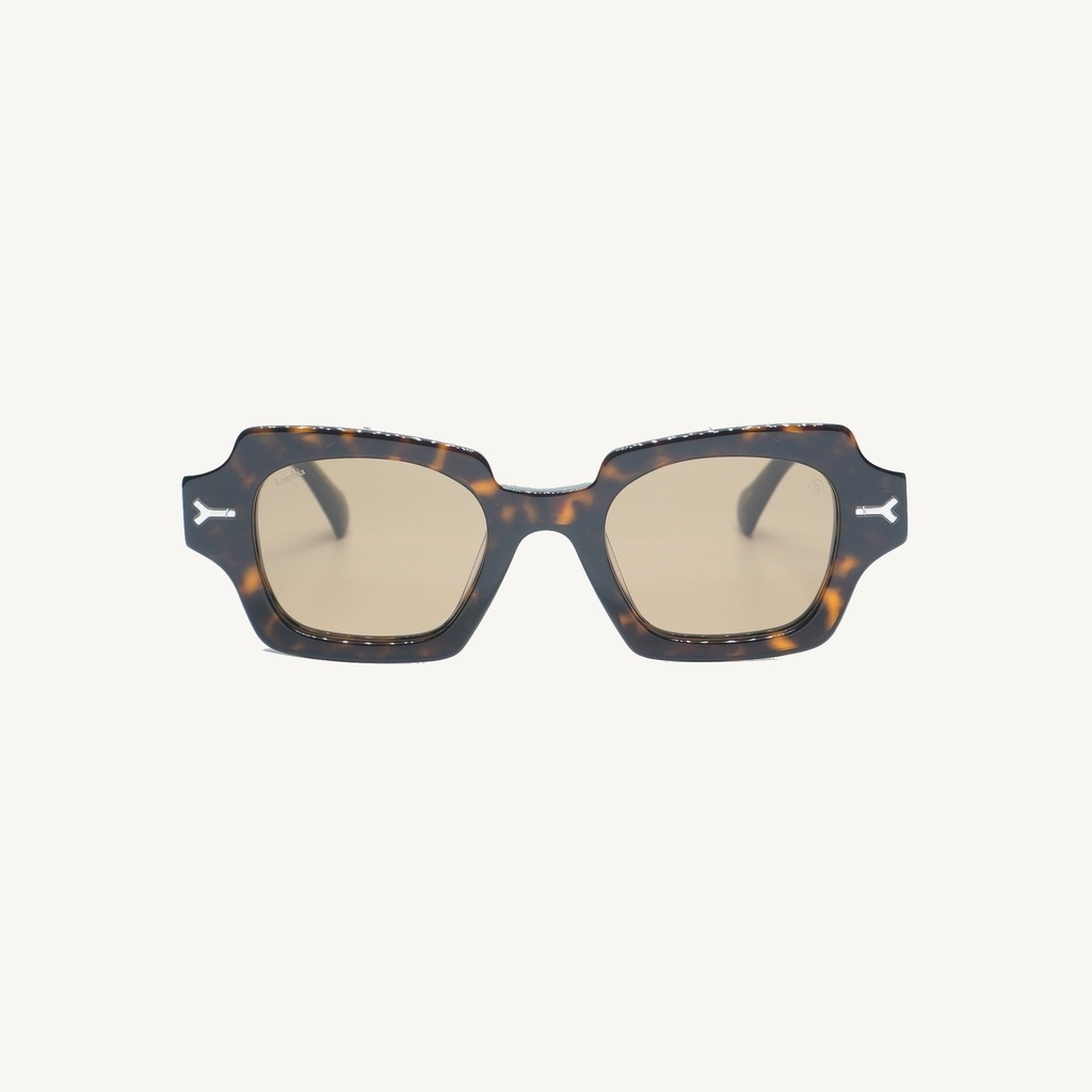 NCEDOC02_TORTOISE_SUN