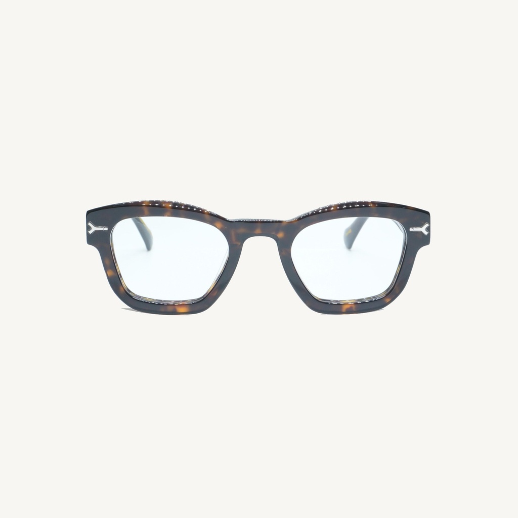 PONIDOC02_TORTOISE_OPT