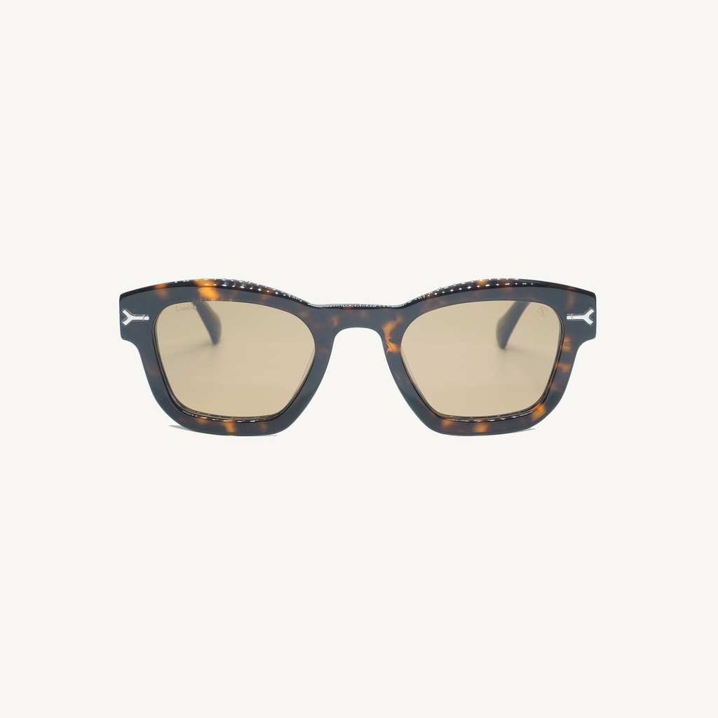 PONIDOC02_TORTOISE_SUN