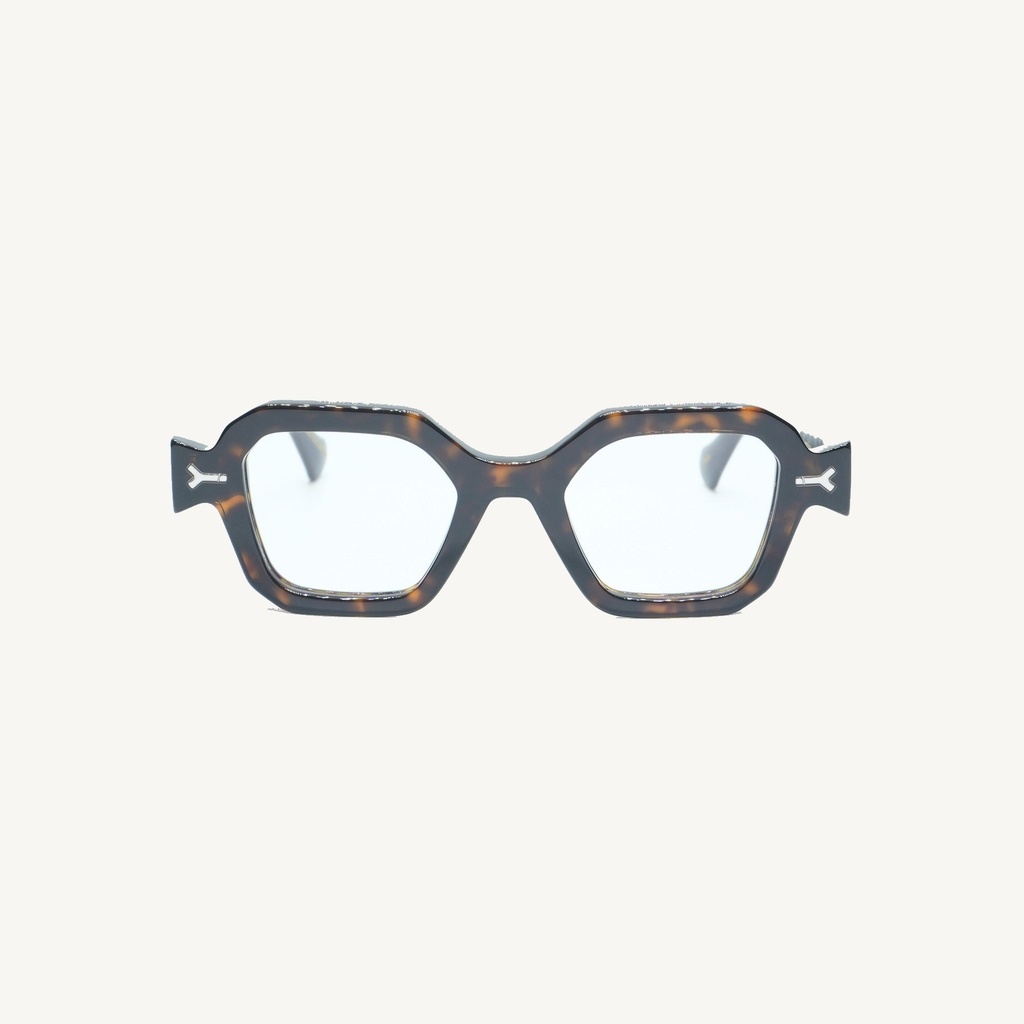 PULEC02_TORTOISE_OPT