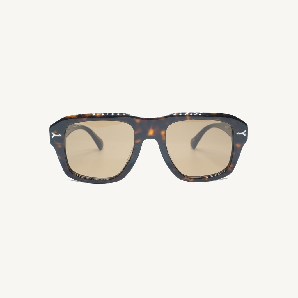 WITAC02_TORTOISE_SUN