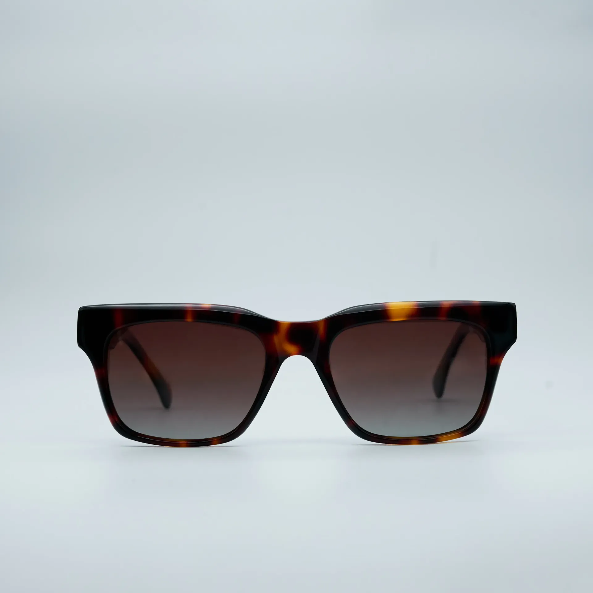 882229SC02_SUN 54 TORTOISE