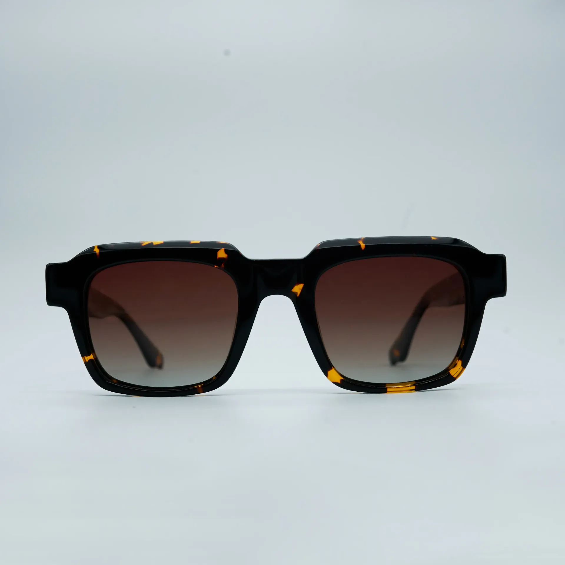 882243SC02_SUN 48 TORTOISE