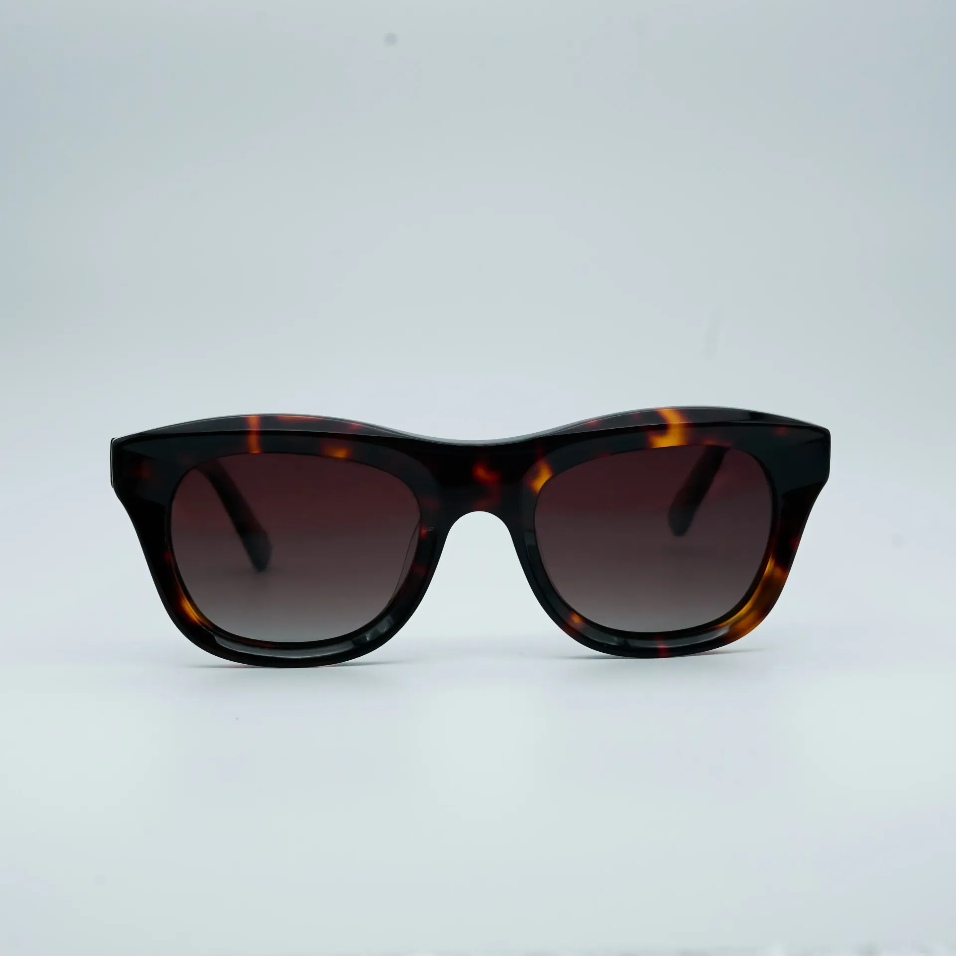 882271SC02_SUN 49 TORTOISE